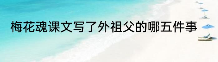 梅花魂课文写了外祖父的哪五件事