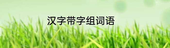 汉字带字组词语