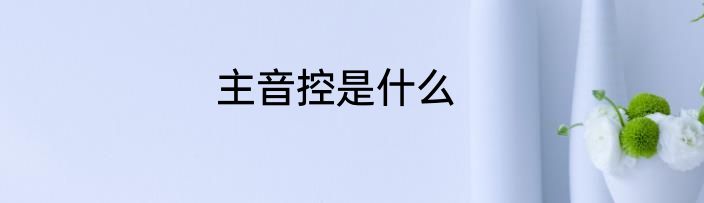 主音控是什么