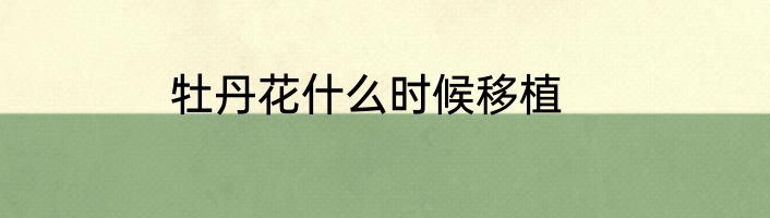 牡丹花什么时候移植