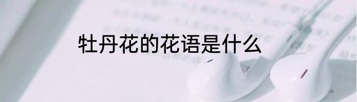牡丹花的花语是什么