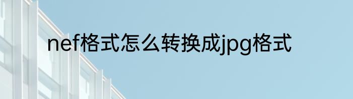 nef格式怎么转换成jpg格式