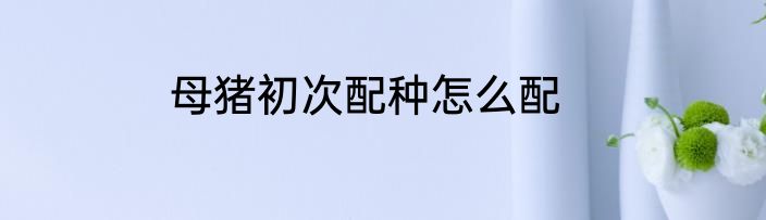 母猪初次配种怎么配
