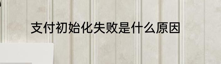 支付初始化失败是什么原因