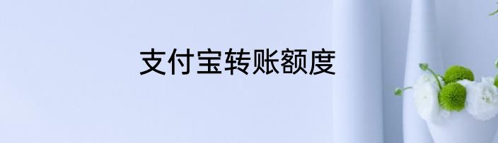 支付宝转账额度