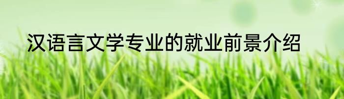 汉语言文学专业的就业前景介绍