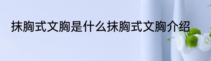 抹胸式文胸是什么抹胸式文胸介绍