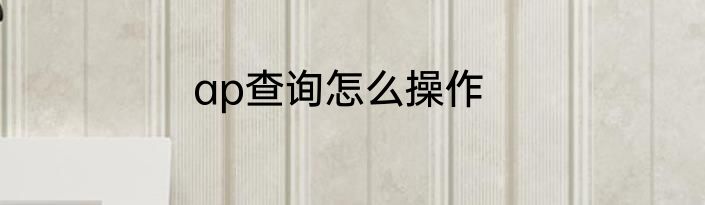 ap查询怎么操作