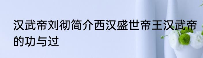 汉武帝刘彻简介西汉盛世帝王汉武帝的功与过