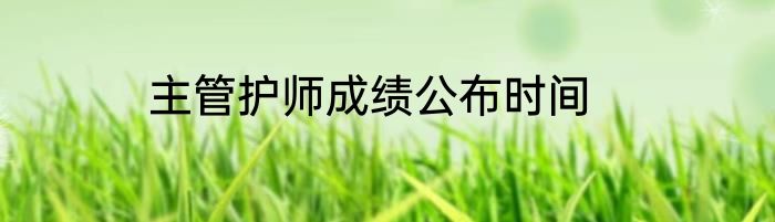 主管护师成绩公布时间