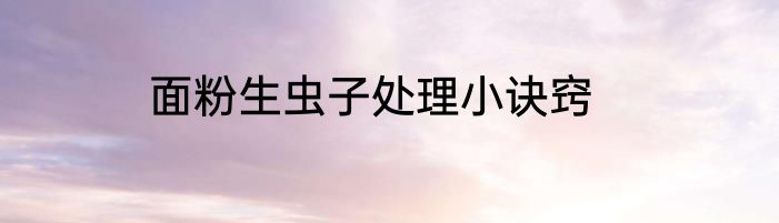 面粉生虫子处理小诀窍