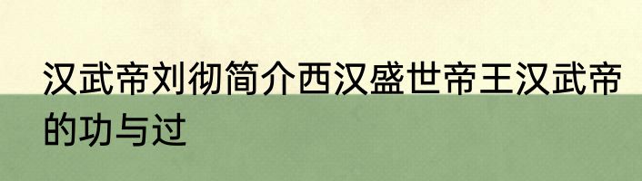 汉武帝刘彻简介西汉盛世帝王汉武帝的功与过