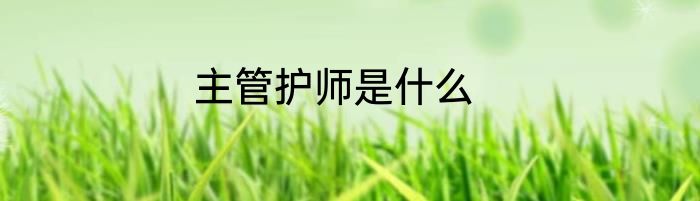 主管护师是什么