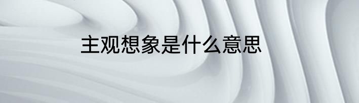 主观想象是什么意思