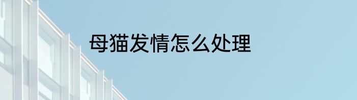 母猫发情怎么处理