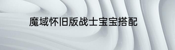 魔域怀旧版战士宝宝搭配