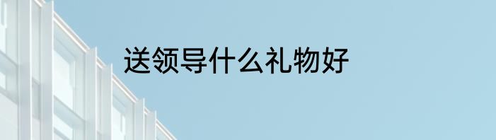 送领导什么礼物好