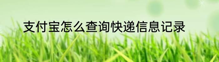 支付宝怎么查询快递信息记录