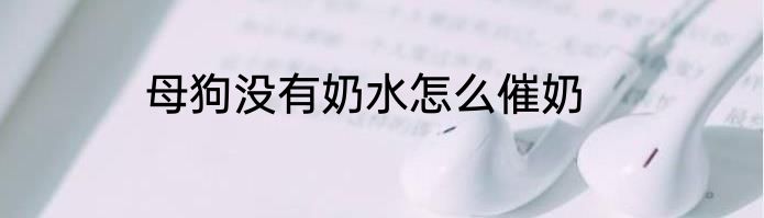 母狗没有奶水怎么催奶