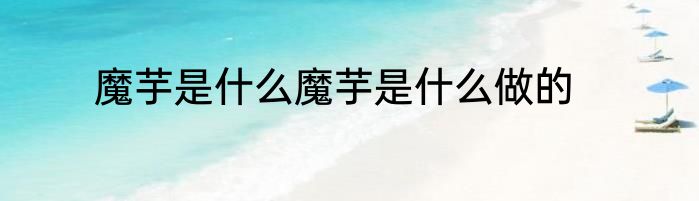 魔芋是什么魔芋是什么做的