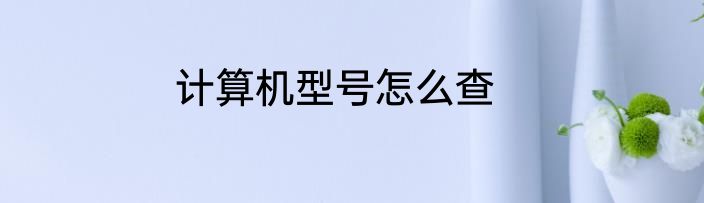 计算机型号怎么查