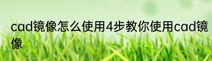 cad镜像怎么使用4步教你使用cad镜像