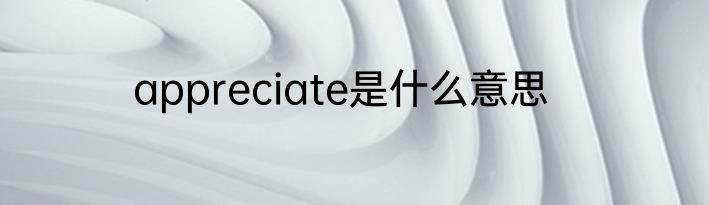 appreciate是什么意思