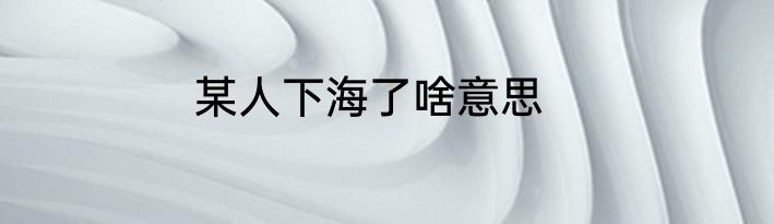 某人下海了啥意思