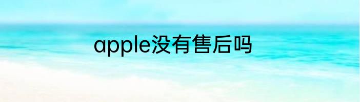 apple没有售后吗