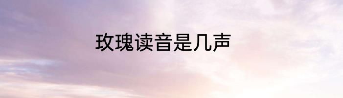 玫瑰读音是几声