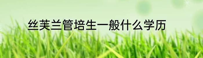 丝芙兰管培生一般什么学历