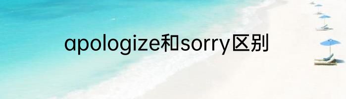 apologize和sorry区别