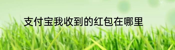 支付宝我收到的红包在哪里