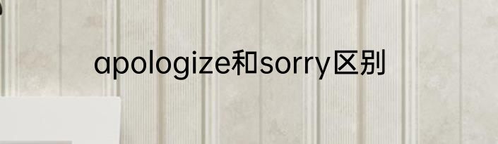 apologize和sorry区别