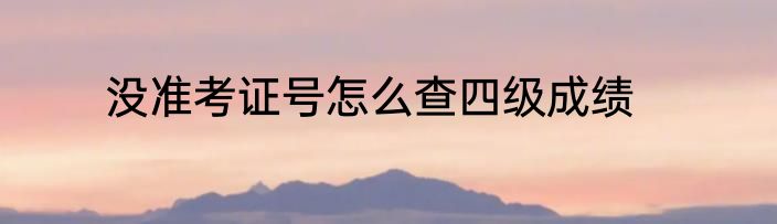 没准考证号怎么查四级成绩