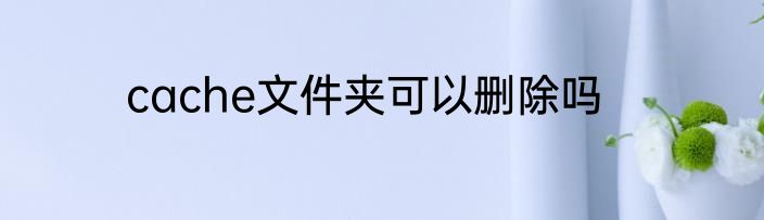cache文件夹可以删除吗