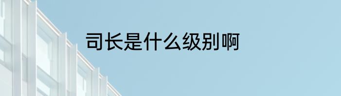 司长是什么级别啊