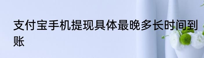 支付宝手机提现具体最晚多长时间到账