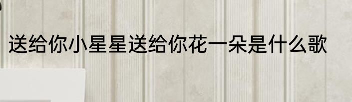 送给你小星星送给你花一朵是什么歌