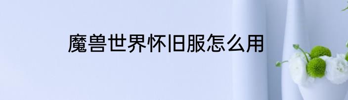 魔兽世界怀旧服怎么用