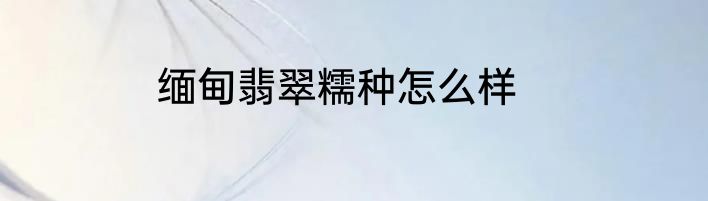 缅甸翡翠糯种怎么样