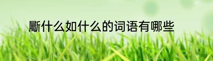 斸什么如什么的词语有哪些