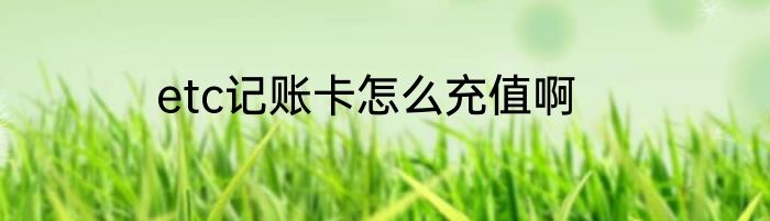 etc记账卡怎么充值啊