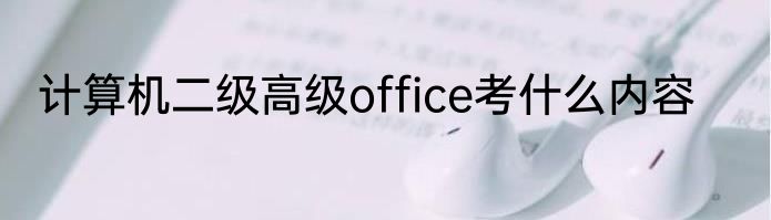 计算机二级高级office考什么内容