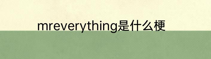 mreverything是什么梗