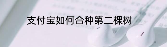 支付宝如何合种第二棵树