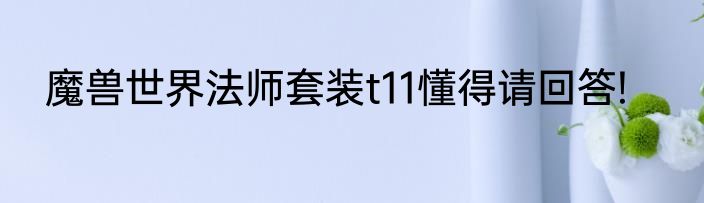 魔兽世界法师套装t11懂得请回答!