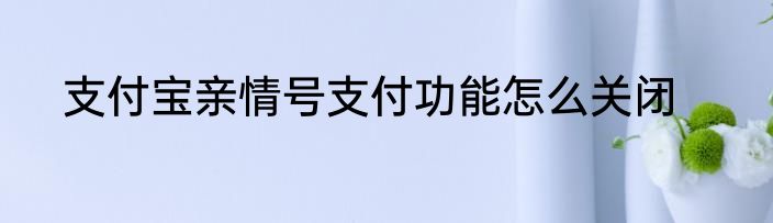 支付宝亲情号支付功能怎么关闭