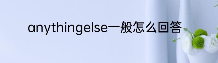 anythingelse一般怎么回答
