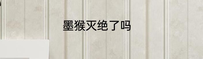 墨猴灭绝了吗